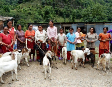 Agroecology Rebuilds Rural Livelihoods of Women in Post-Earthquake Nepal Image